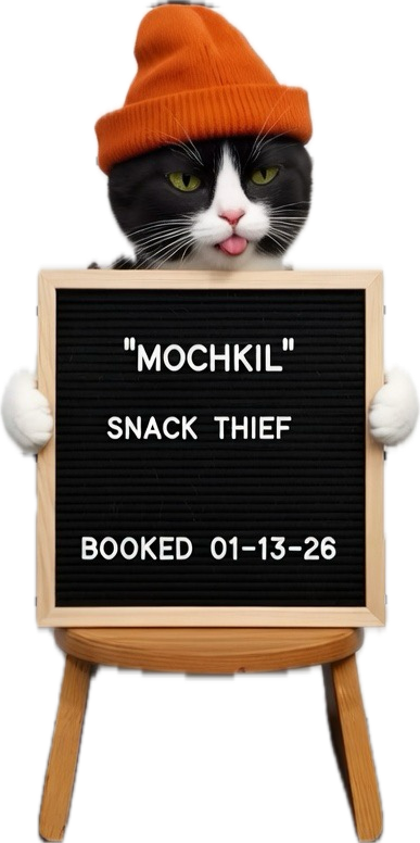 Mochkil Mugshot